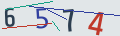verifycode
